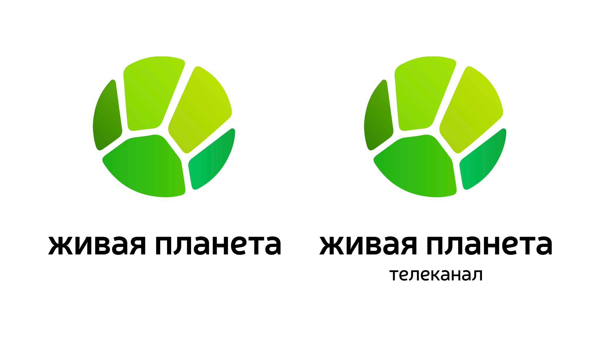 Моя живая планета. Телеканал живая планета. Живая планета логотип. Канал живая планета. Логотип канала живая планета.